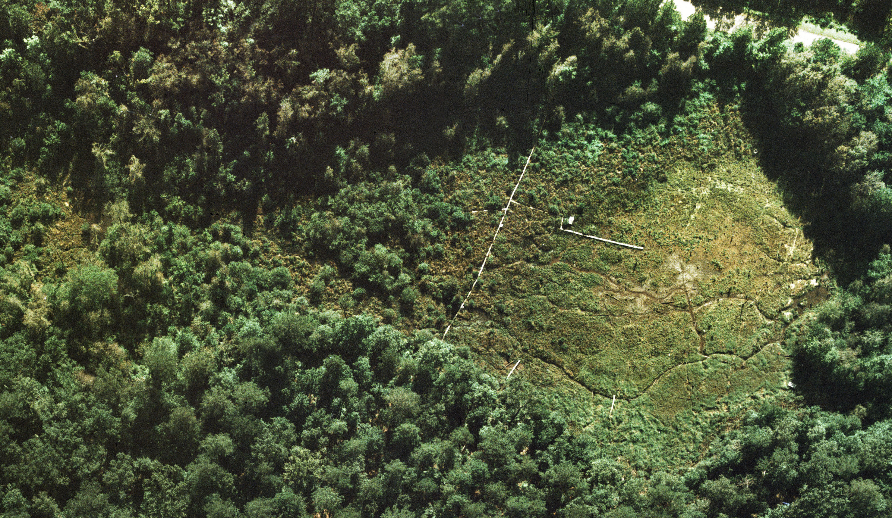 aerial view of TWE