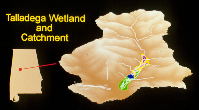 Talladega Wetland and Catchment map